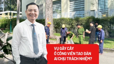 Pháp lý vụ gãy cây ở công viên Tao Đàn khiến nhiều người thương vong