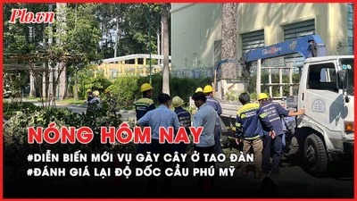 Nóng hôm nay: Cập nhật tình hình sức khỏe 3 người bị thương vụ gãy cây ở Công viên Tao Đàn
