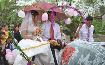 Rước dâu bằng xe trâu