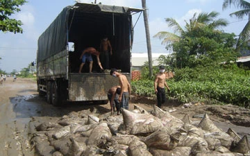 10 năm làm không xong tỉnh lộ