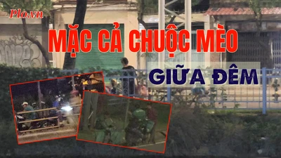 VIDEO ĐIỀU TRA - Bài 3: Giáp mặt ‘mèo tặc’: Mặc cả chuộc mèo giữa đêm