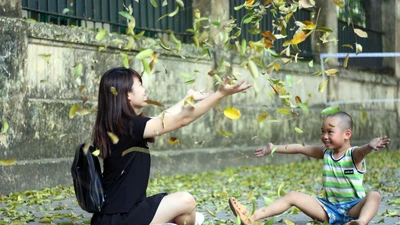 Đẹp mê say những con phố thủ đô ngập lá vàng