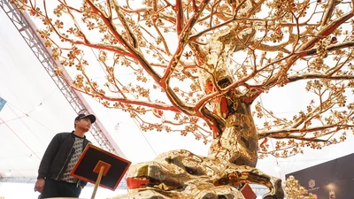 Ngắm cây mai mạ vàng lớn nhất Việt Nam giá 6 tỉ dịp Tết