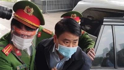 Trả hồ sơ vụ án cây xanh liên quan đến ông Nguyễn Đức Chung