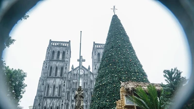 Cận cảnh những cây thông noel 'khổng lồ' ở Hà Nội phục vụ dịp Giáng sinh 2023