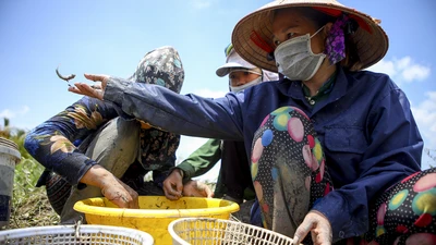 Kẹt lại ở TP.HCM do dịch COVID-19, người dân miền Tây bắt cá mưu sinh