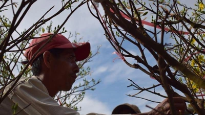 Bến Bình Đông: Hoa tươi, người héo