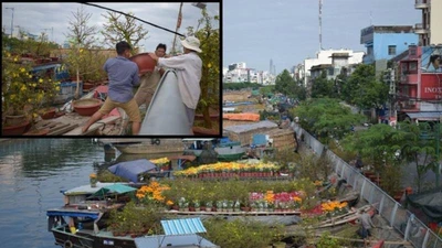 'Bưng chậu mai té lộn cổ, em tưởng về với ông bà rồi!'