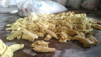 Phát hiện 12 tấn măng ngâm... thuốc nhuộm ở Hóc Môn