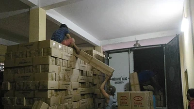 Phát hiện kho đèn LED tiền tỉ lậu xuất xứ Trung Quốc