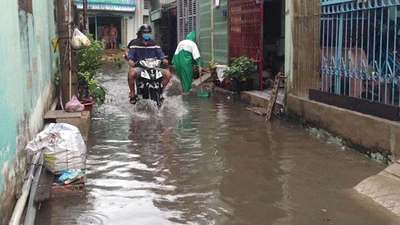 Mưa đột ngột giữa mùa khô, TP.HCM ngập cục bộ