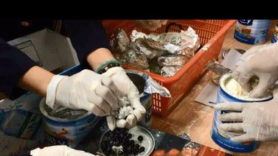 Giấu ngà voi, vảy tê tê trong bụng cá hồi và sữa bột