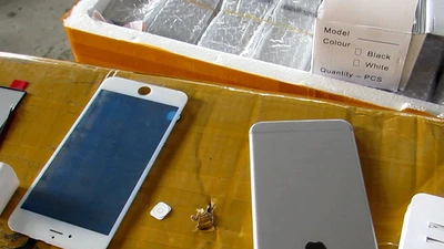 Cả container nghi nhái hàng hiệu tại cảng Cát Lái