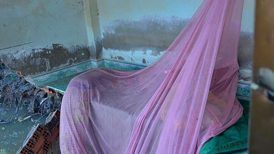 TP.HCM: 5 ngôi nhà bất ngờ sụp xuống sông