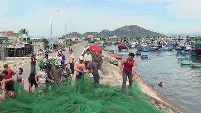 Dân Ninh Thuận chằng chống tài sản chống bão số 12