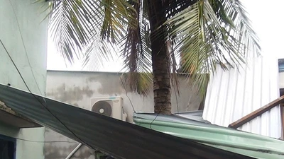 Mưa lốc giật bay nhiều mái nhà ở TP.HCM