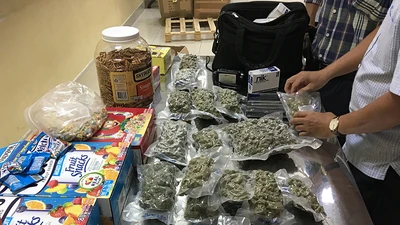 4kg cần sa ở kiện hàng thực phẩm từ California về Tân Sơn Nhất