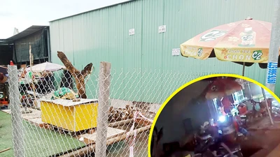 Hố sâu được rào lưới sau khi người và xe rơi xuống