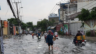 Mưa lớn, đường ngập, cây ngã khắp nơi ở TP.HCM