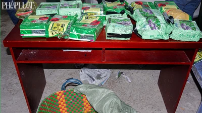 TP.HCM chặn bắt ô tô chở 20 kg ma túy giấu dưới giỏ đựng xoài 