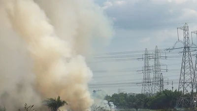 Bãi cỏ hàng ngàn mét vuông ở quận Bình Tân lại cháy đầu năm