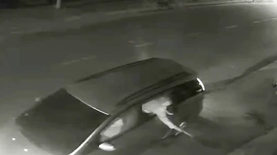 Tái diễn nạn đi trộm chó bằng ô tô ở vùng ven TP.HCM