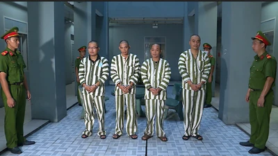 Khởi tố, tạm giam nhóm mua bán thận sau phản ánh của Pháp Luật TP.HCM