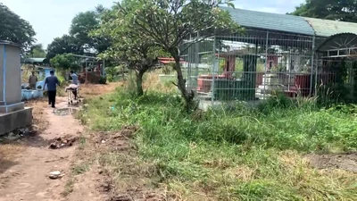 Người đàn ông tử vong bất thường ở nghĩa trang Bình Hưng Hòa