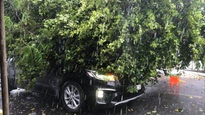 Ảnh hiện trường giông lốc, cây đổ, nhà tạm ở công trường đường Vành Đai 3 tốc mái