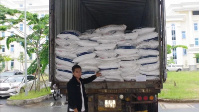 Tài xế bị bắt vì chở 800 bao đường cát lậu từ Campuchia về TP.HCM