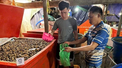 Triệt phá đường dây dùng 500 tấn 'thủy tinh lỏng' ngâm 3.000 tấn thịt ốc bươu