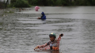Quảng Nam: Người dân đội mưa bắt cá trong lũ