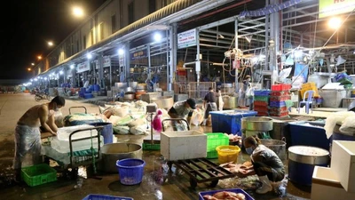 Chợ đầu mối Bình Điền hoạt động trở lại