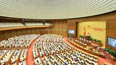 Đại biểu Quốc hội bị bãi nhiệm khi nào, thủ tục ra sao?