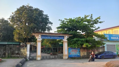 Vụ cô giáo Dung: Liên đoàn Luật sư lên tiếng việc 2 luật sư bị buộc rời phòng xử