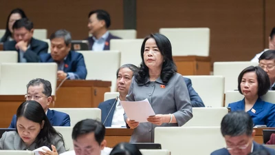 Đại biểu hỏi Chánh án TAND Tối cao Nguyễn Hoà Bình việc xác định thiệt hại trong vụ Vũ 'nhôm'