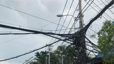 Đề xuất cắt điện, nước; tạm ngừng xuất cảnh để cưỡng chế thi hành quyết định xử phạt hành chính