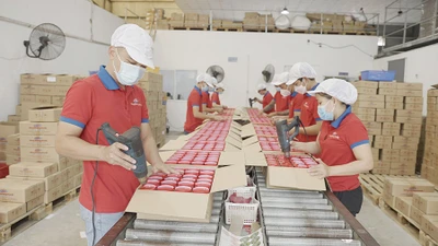 Bức tranh kinh tế Việt Nam sẽ sáng hơn trong năm 2024