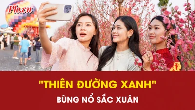 Du khách đổ bộ Cần Giờ check-in lễ hội khinh khí cầu: "Thiên đường xanh" bùng nổ sắc xuân