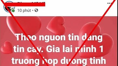 Đăng tin sai sự thật về COVID-19, 1 người ở Gia Lai bị phạt