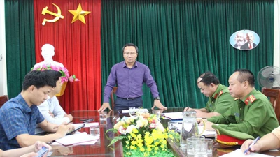 Ông Khuất Việt Hùng phát biểu tại buổi làm việc. Ảnh: VGP