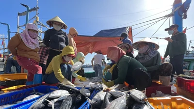 Hôm nay 7-4, Báo Pháp Luật TP.HCM ra mắt chương trình 'Cùng ngư dân thắp sáng đèn trên biển'