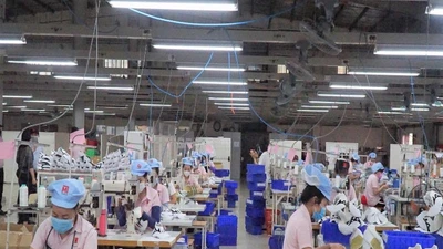 Đà Nẵng: Doanh nghiệp gồng mình sản xuất giữa đại dịch