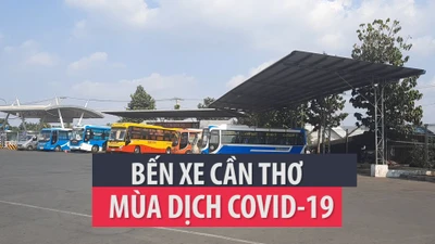 Bến xe Cần Thơ vắng vẻ trong mùa dịch COVID-19