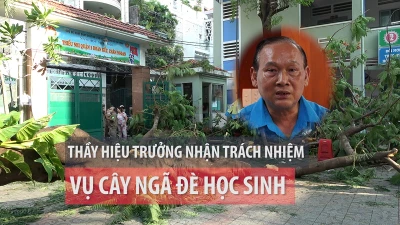 Họp báo vụ cây phượng bật gốc làm 1 học sinh tử vong