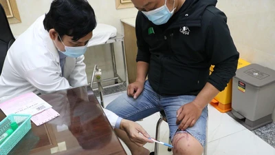 Viêm da do tiếp xúc với kiến ba khoang tăng mạnh ở TP.HCM