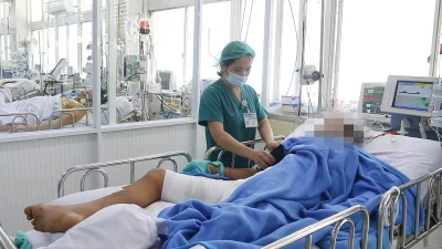 Người đàn ông bị rắn hổ mang chúa cắn còn phải thở máy