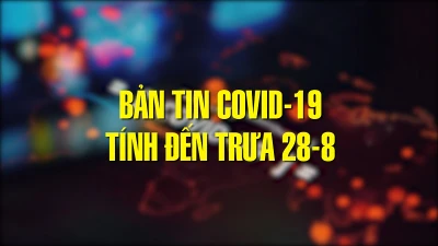 Bản tin tình hình COVID-19 ở Việt Nam tính đến trưa ngày 28-8
