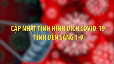 Tình hình dịch COVID-19 ở Việt Nam tính đến trưa 1-9