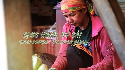 Cọng hành, bó cải và ‘má Phượng’ của người nghèo